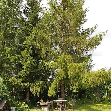 Mazurska Lipowo * Lipowo (Gizycko)