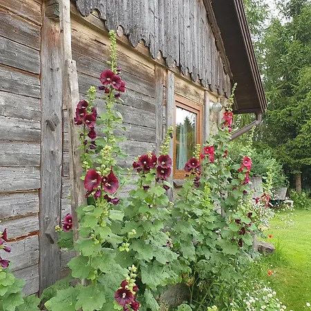 Mazurska Lipowo Apartment