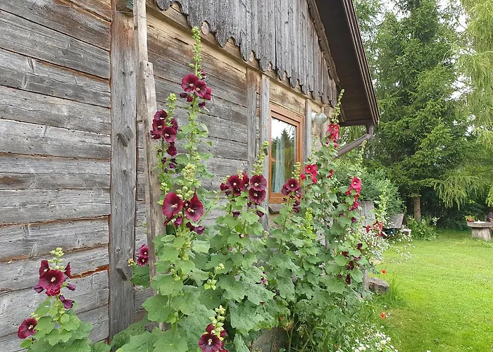 Mazurska Lipowo Apartament