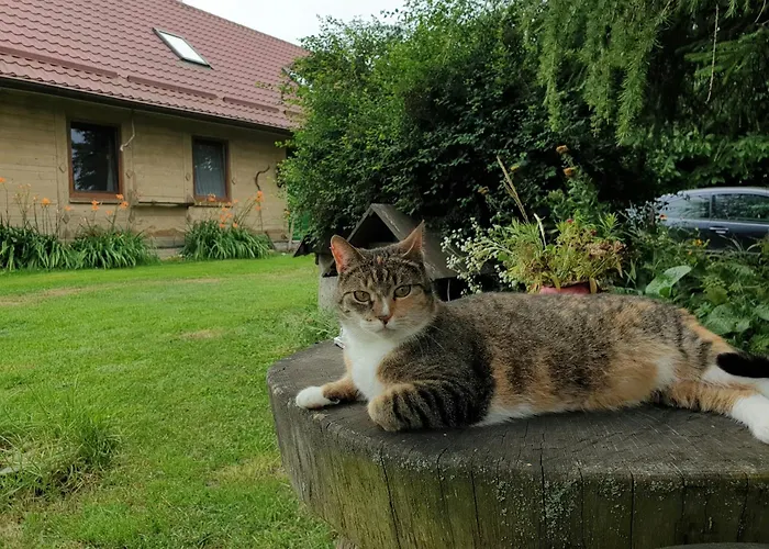 Apartament Mazurska Lipowo