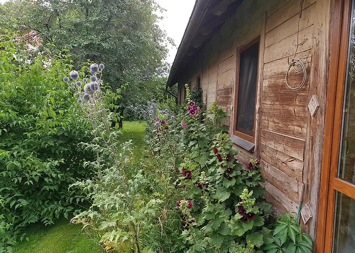 Apartament Mazurska Lipowo *